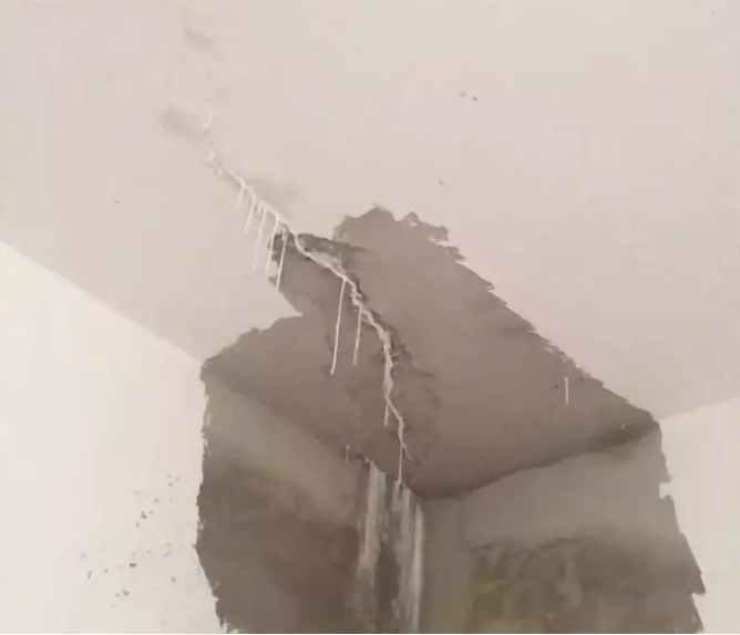 1664155370694651.jpg 1664155459733.jpg