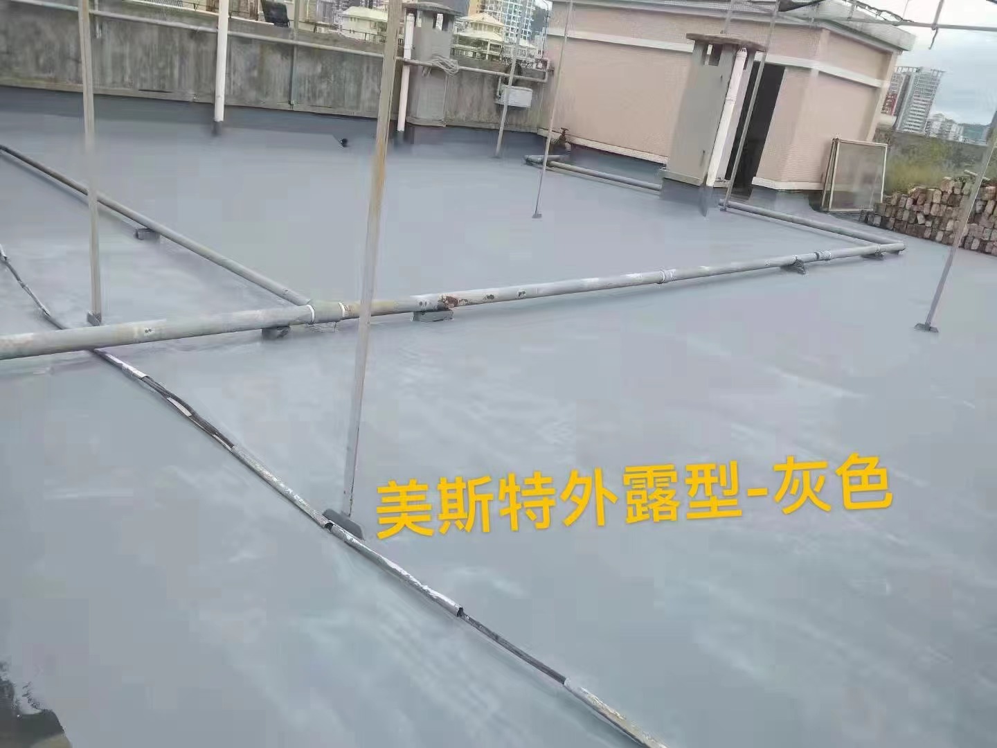 1664155579540707.jpg 1664155579540707.jpg