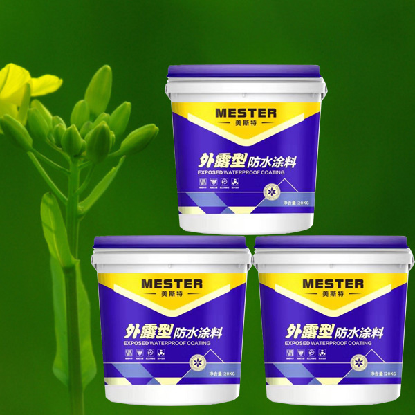 1692064605378070.jpg 01.jpg