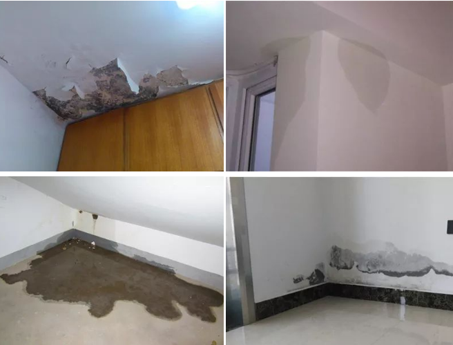 1701847874246504.jpg 1701848266105.jpg